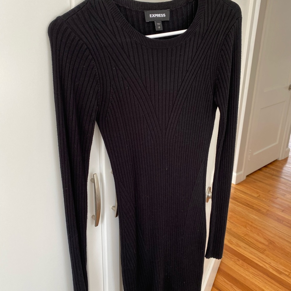 Express knit dress